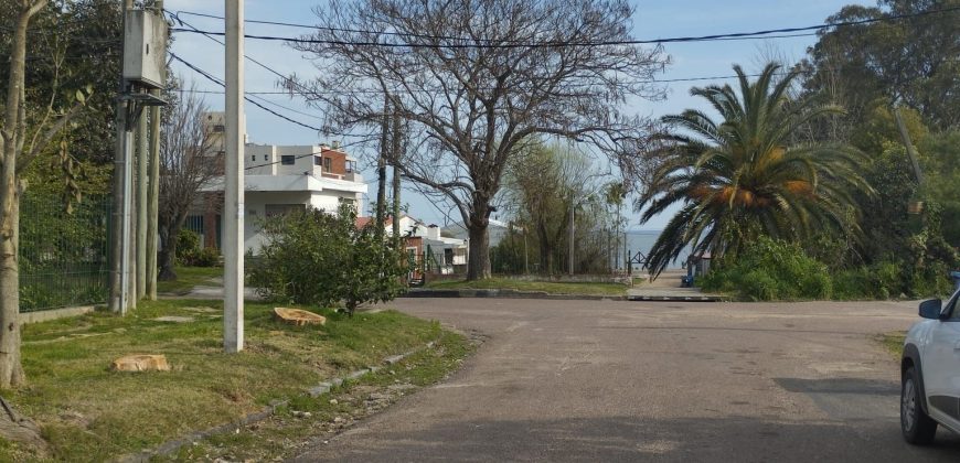 Las Hortensias