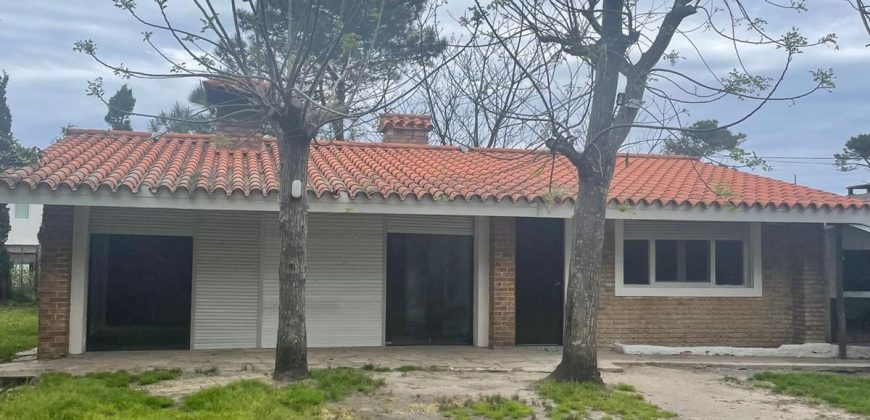 Rincón de Violeta