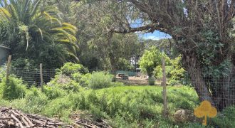 Terreno La Floresta