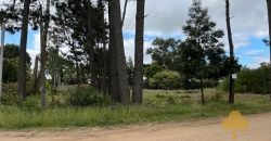 Terreno Pinares Sur