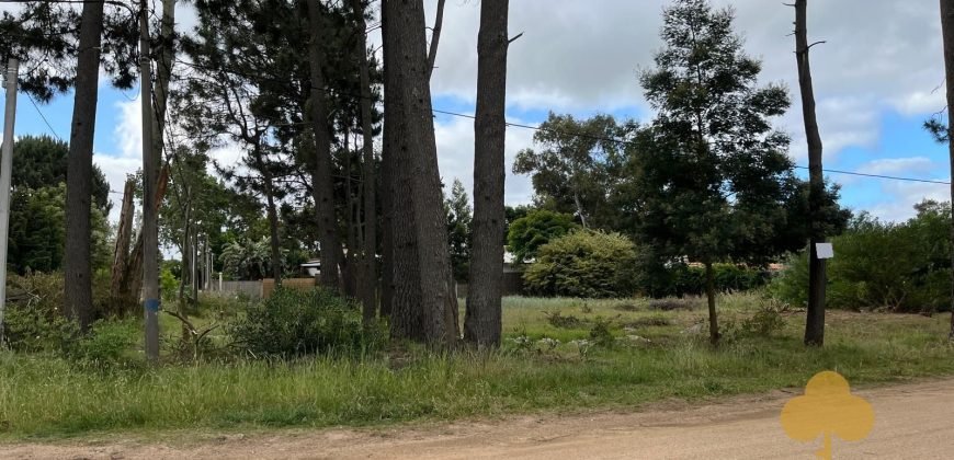 Terreno Pinares Sur