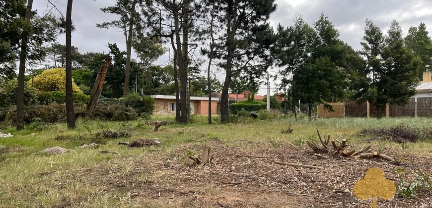 Terreno Pinares Sur